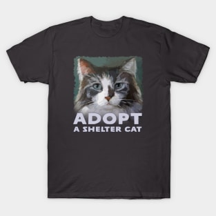 Kitty kitty rescue shirts online